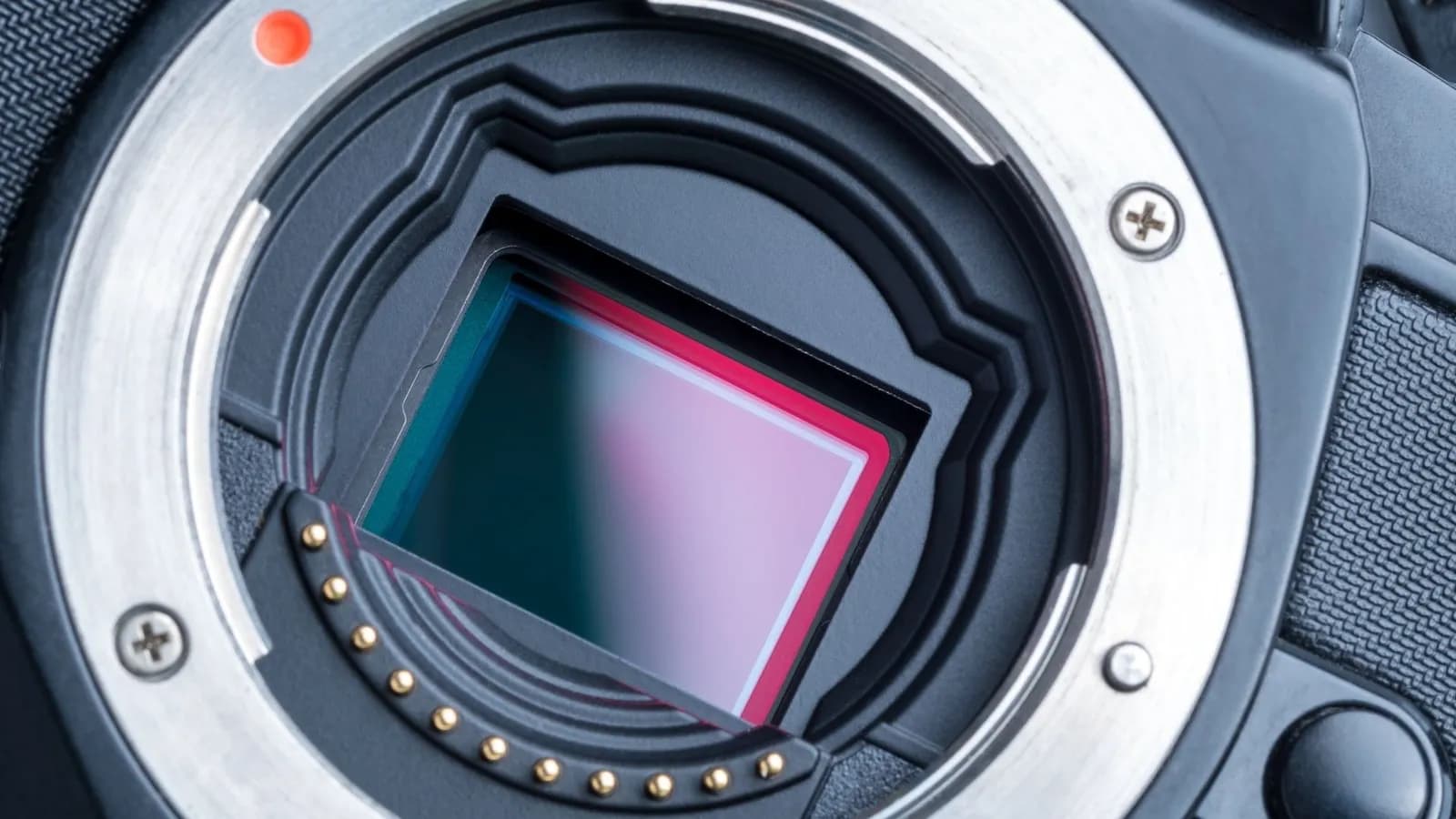 Plein format, APS-C ou Micro 4/3 : lequel choisir en 2026 ?