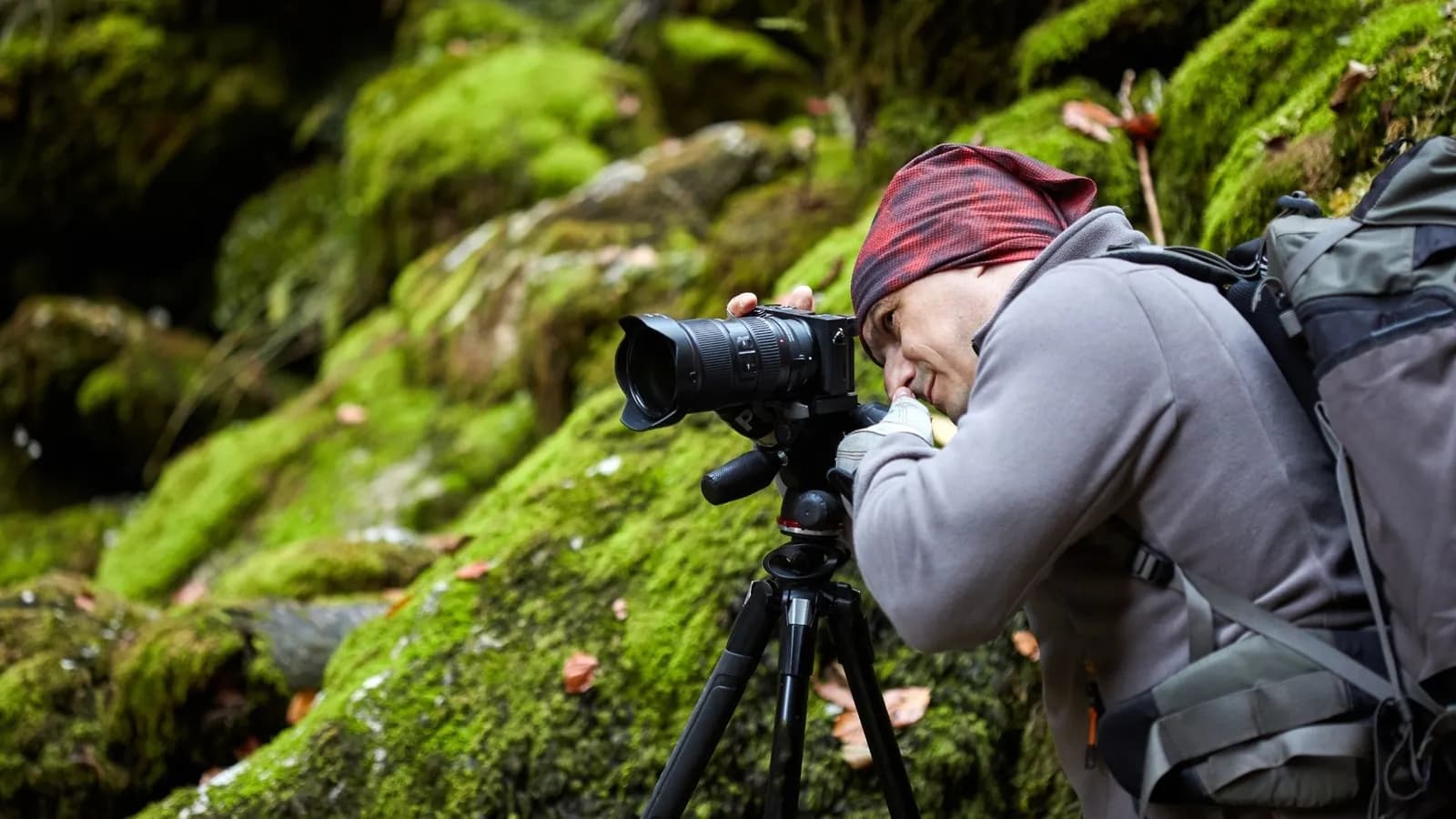 Photographe de paysage cadrant au téléobjectif sur trépied, dans une forêt couverte de mousse.