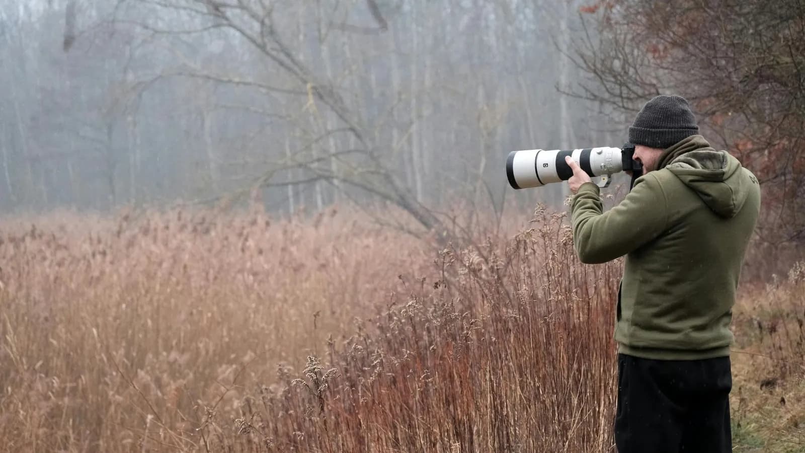 Photographe à main levée avec un téléobjectif blanc, visant dans une roselière brumeuse.