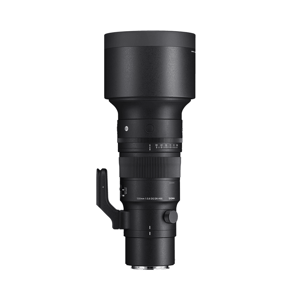 Sigma 500mm F5.6 DG DN OS | Sports